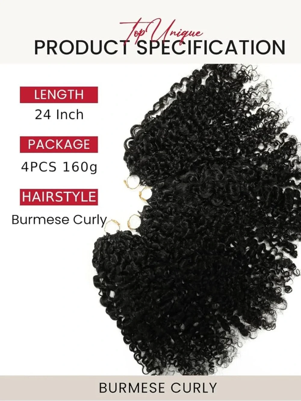 N/A burmese curly